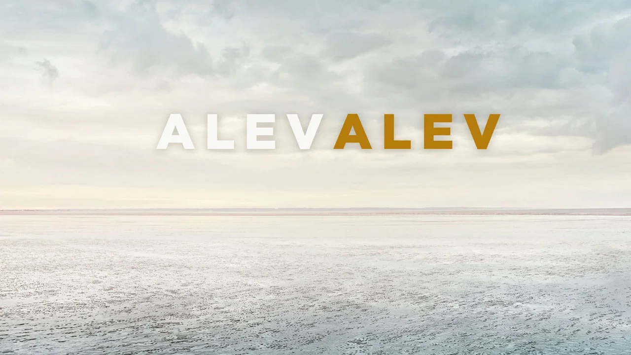 Alev Alev backdrop 4