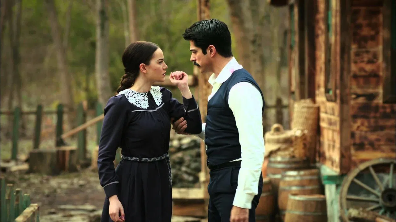 Calikusu backdrop 2
