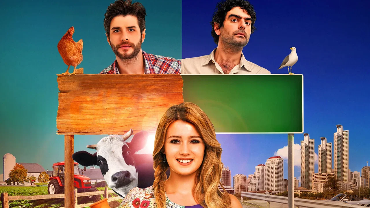 Guzel Koylu backdrop 5