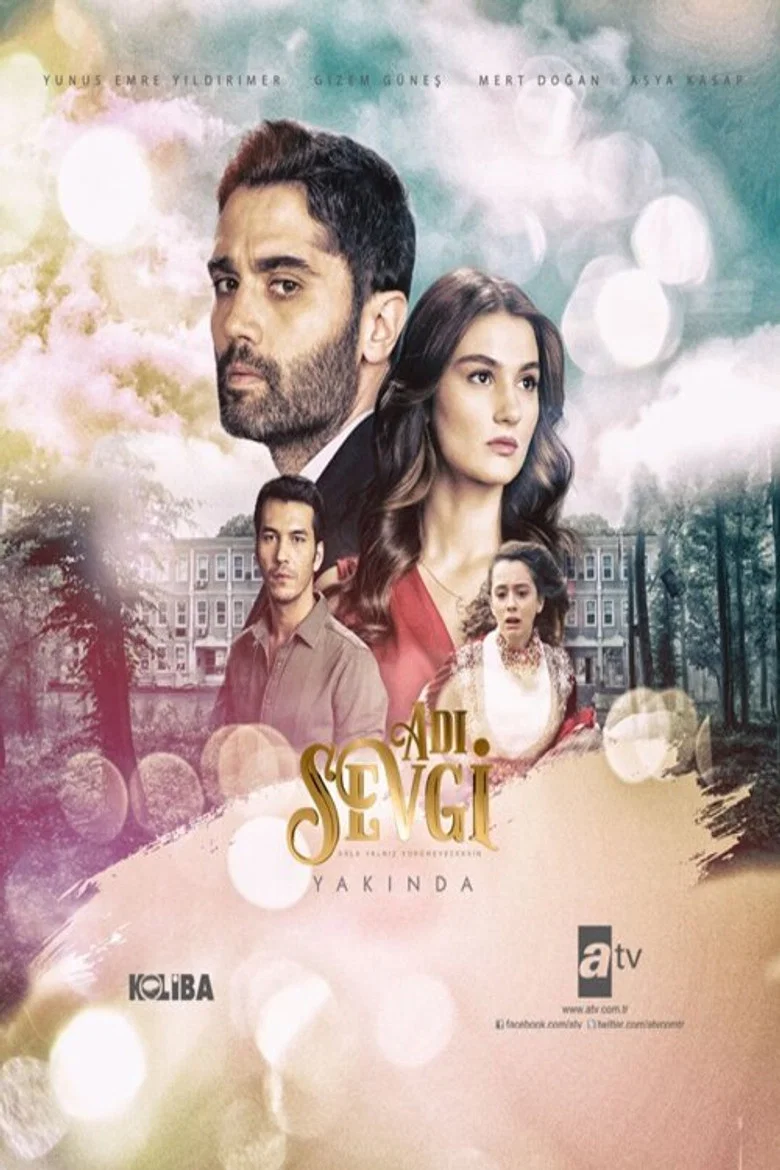 Adi Sevgi poster 5