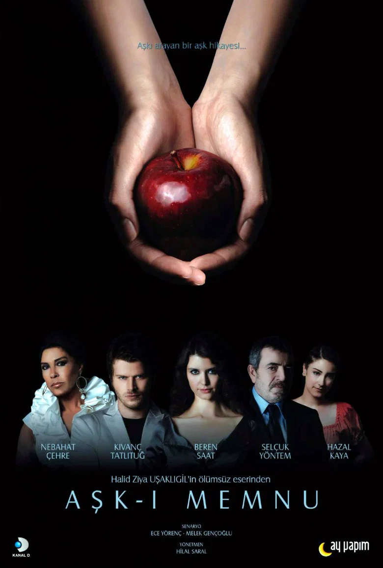 Aski Memnu poster 7