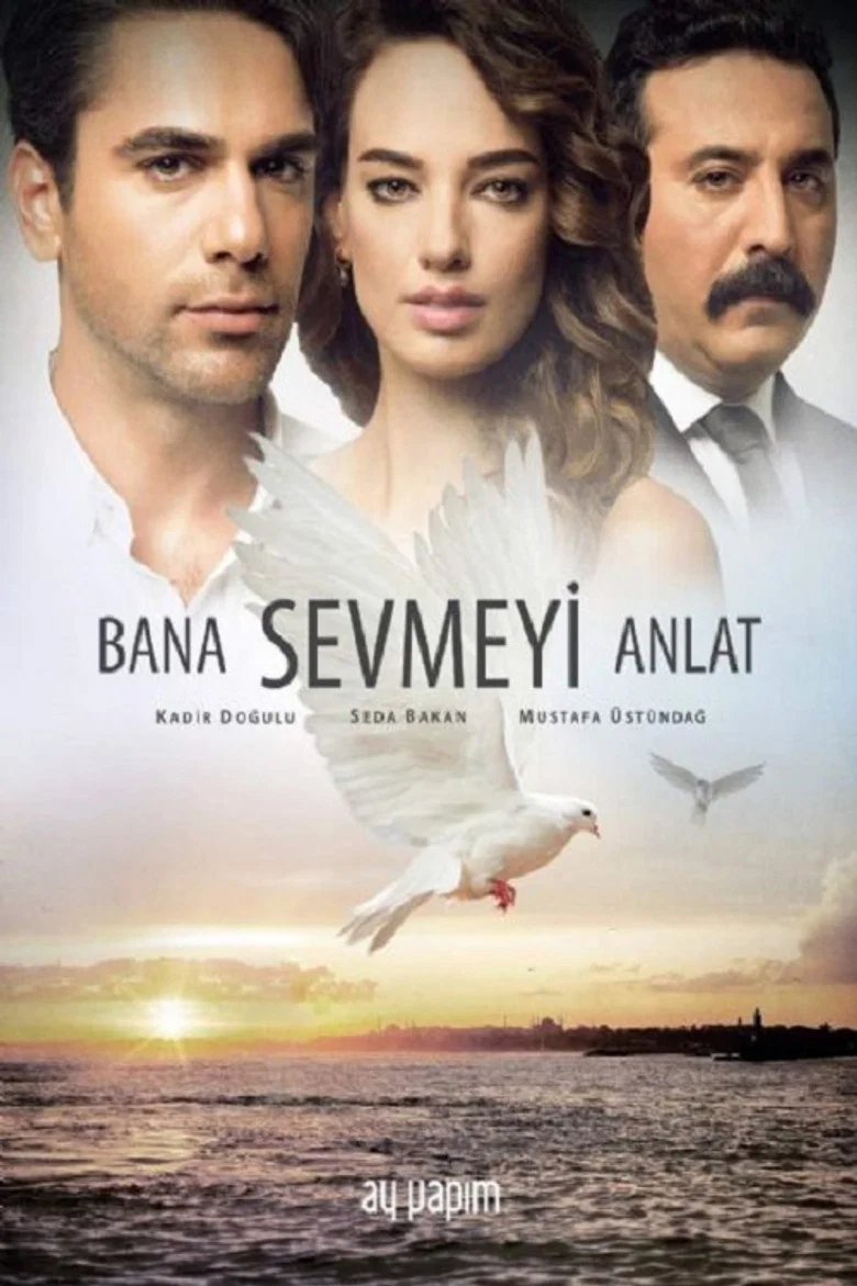 Bana Sevmeyi Anlat poster 5