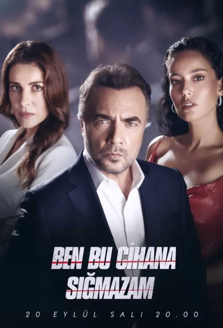 Ben Bu Cihana Sigmazam poster 7