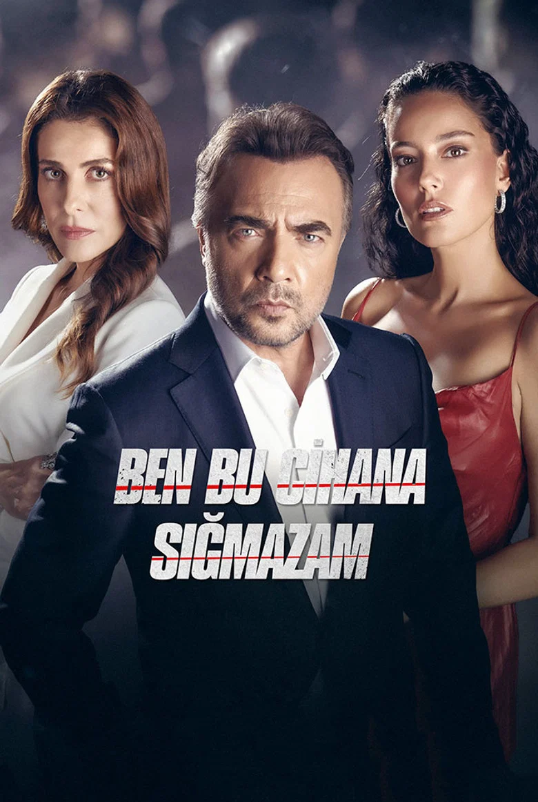 Ben Bu Cihana Sigmazam poster 8