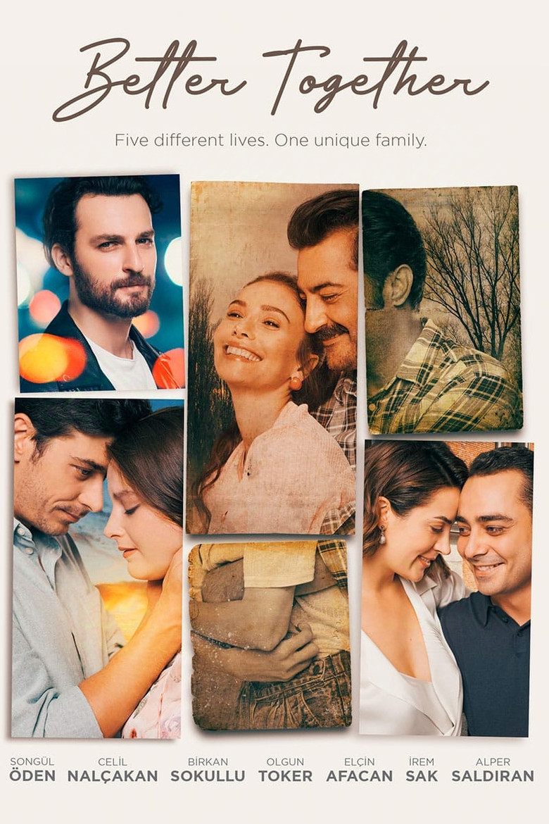 Bir Aile Hikayesi Turkish series poster