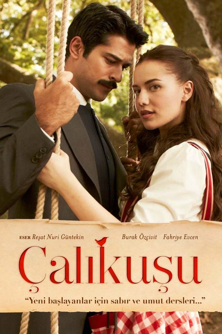 Calikusu poster 7