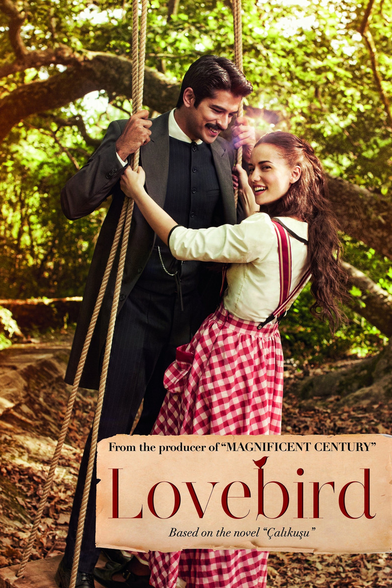 Calikusu Turkish series poster