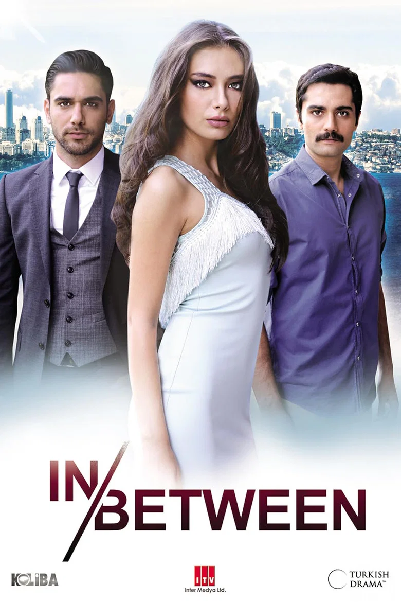 Fatih Harbiye poster 6