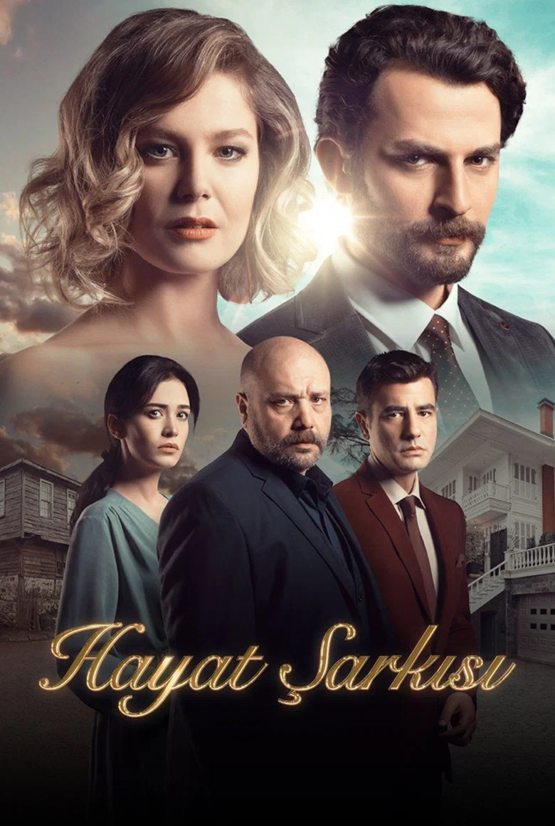 Hayat Sarkisi poster 8