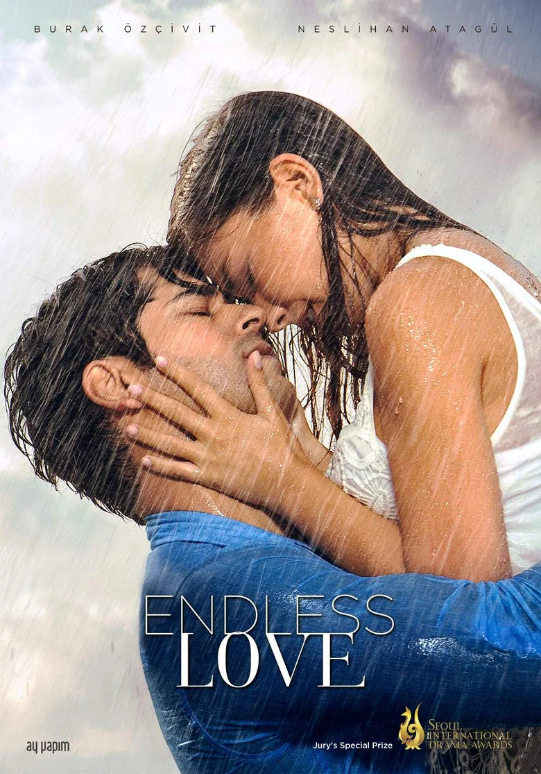 Kara Sevda poster 8