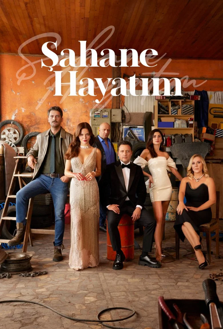 Sahane Hayatim poster 7
