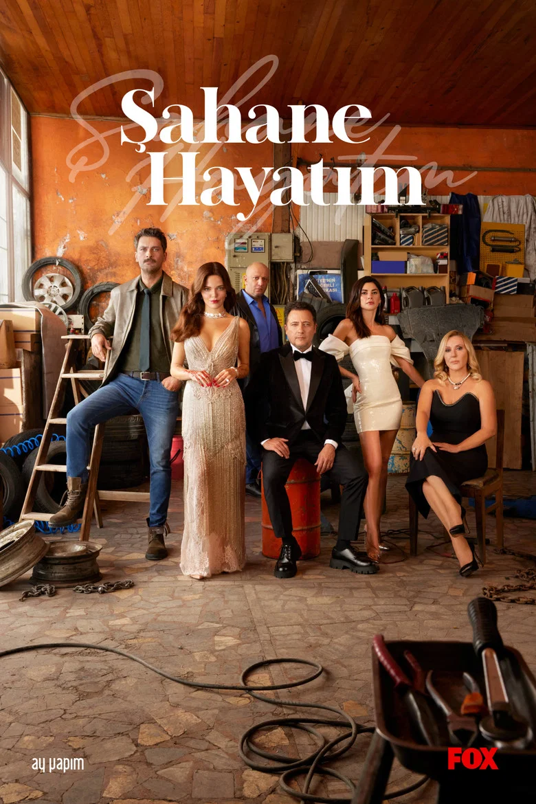 Sahane Hayatim poster 8