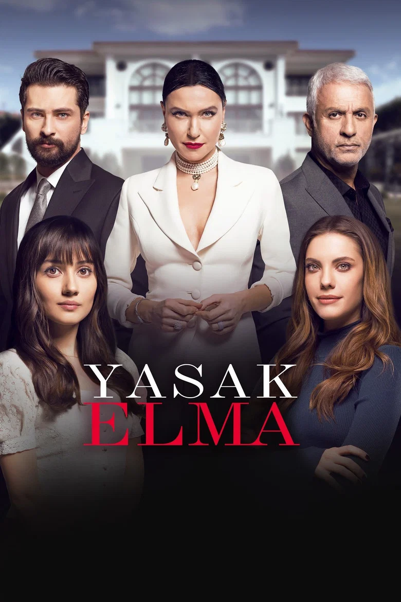 Yasak Elma poster 7