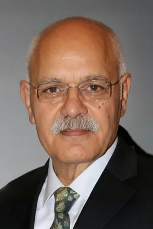 Demir Karahan profile